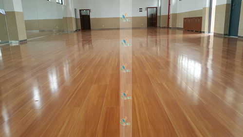 立美建材 為舞蹈室度身定制專(zhuān)業(yè)木地板與塑膠地板解決方案